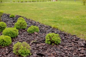 Commercial Landscaping for Retail Centers. Complete Grounds Commercial Landscaping