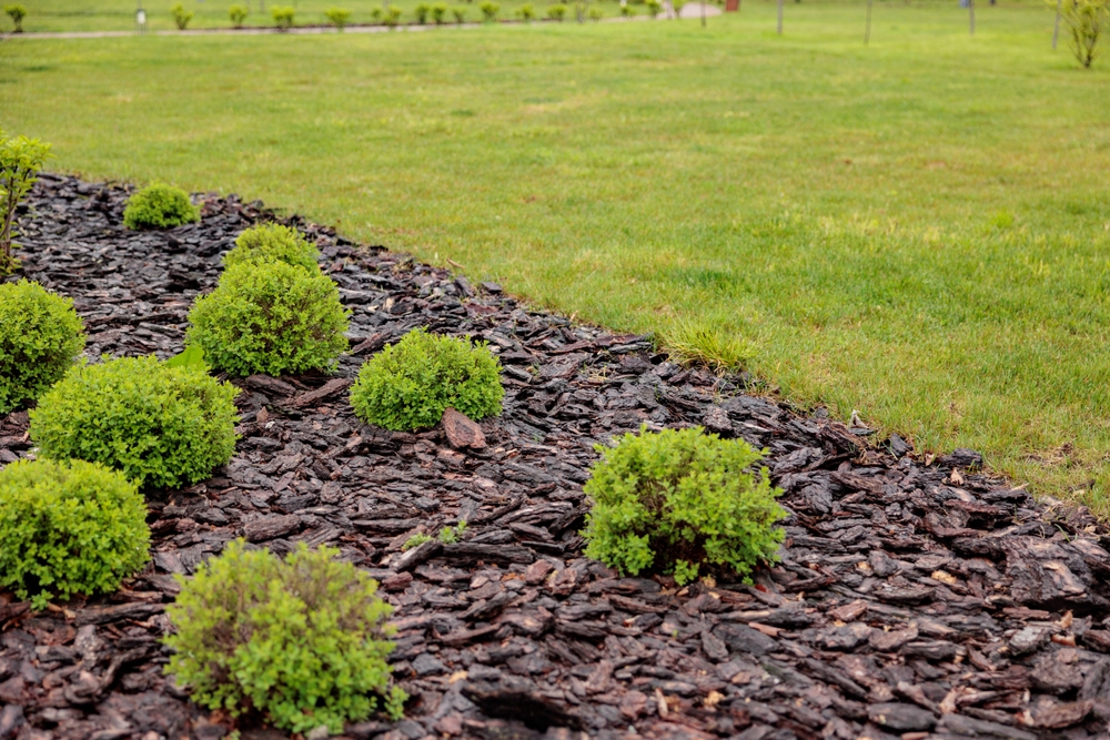Commercial Mulching Services in Winston-Salem & Charlotte, NC. Complete Grounds Commercial Landscaping