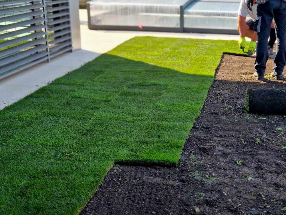 Commercial Sod Installation in Winston-Salem & Charlotte, NC. Complete Grounds Commercial Landscaping