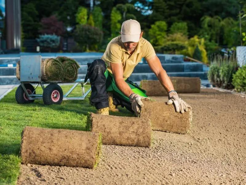 Commercial Landscaping Services in High Point, NC. Complete Grounds Commercial Landscaping