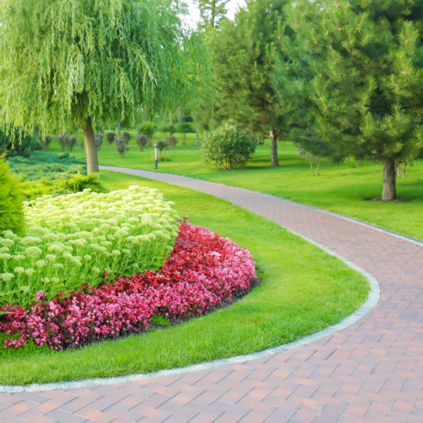 Commercial Landscape Maintenance in Winston-Salem & Charlotte, NC. Complete Grounds Commercial Landscaping