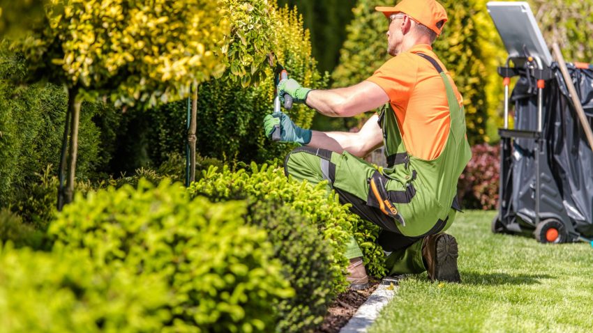 Trimming services on a commercial property Professional Trimming services on a commercial property