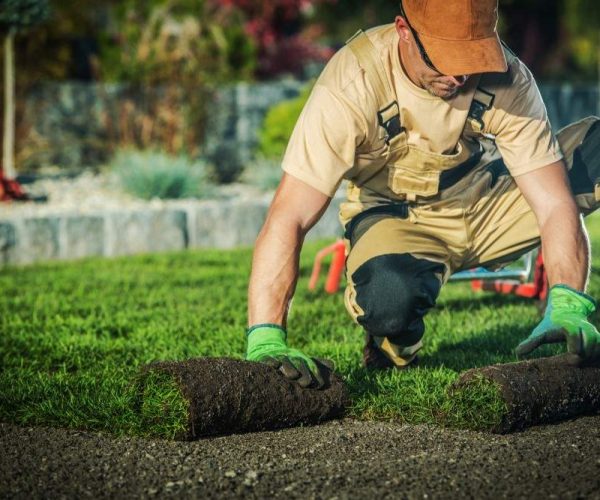 Commercial Landscaping Services in Winston-Salem, NC. Complete Grounds Commercial Landscaping