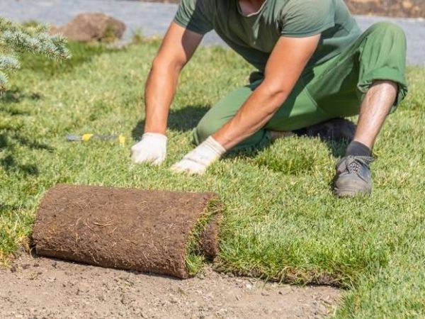 Commercial Landscaping Services in Charlotte, NC. Complete Grounds Commercial Landscaping